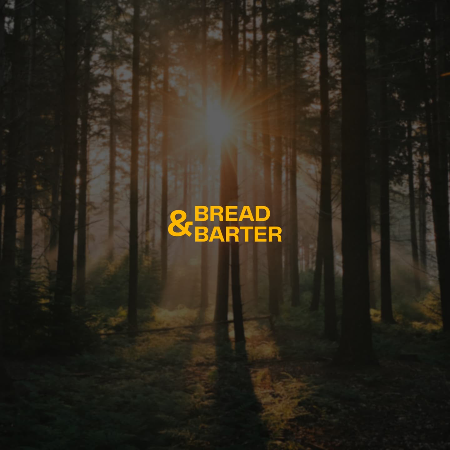 BREAD & BARTER hero image